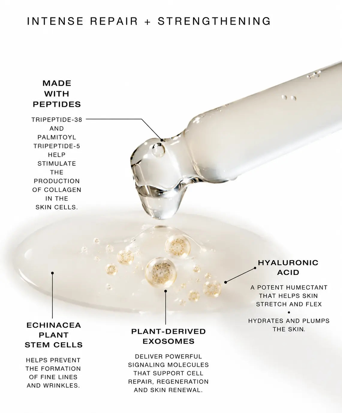 Infographic showing the key ingredients in BIBA Los Angeles Plant Stem Cell Serum with Peptides, including plant-derived exosomes, peptides, echinacea plant stem cells, and hyaluronic acid for skin repair, hydration, and strengthening.